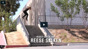 reese salken