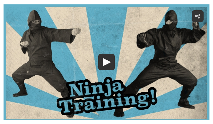 ninja